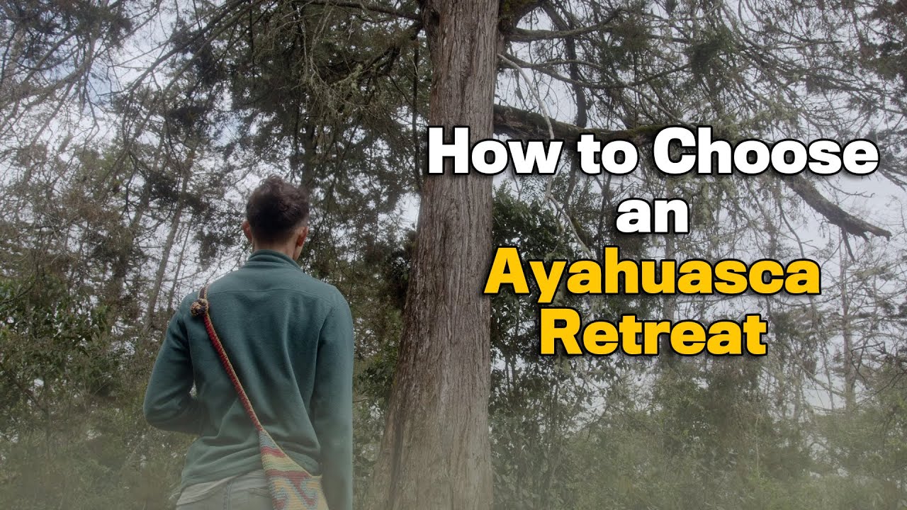 How to Choose an Ayahuasca Retreat | Colibri Garden x Healing Maps